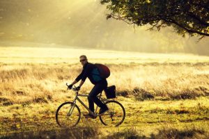 How to travel sustainably in the rainforest