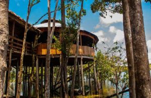Rainforest eco-lodges and accommodations