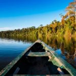 Family-friendly rainforest travel options