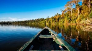 Family-friendly rainforest travel options