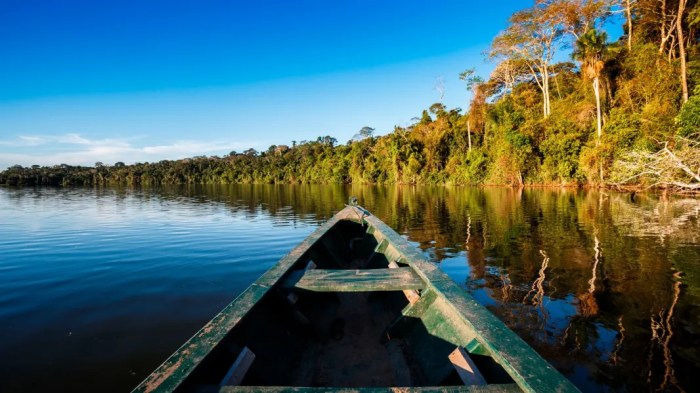 Family-friendly rainforest travel options