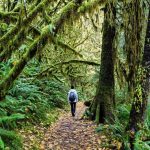 Rainforest survival tips for travelers